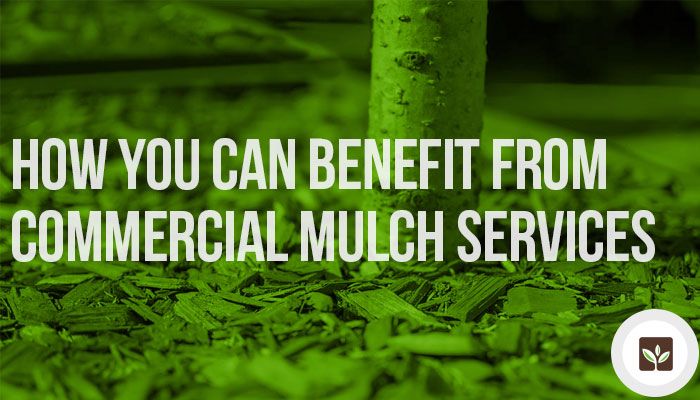 How You Can Benefit from Commercial Mulch Services