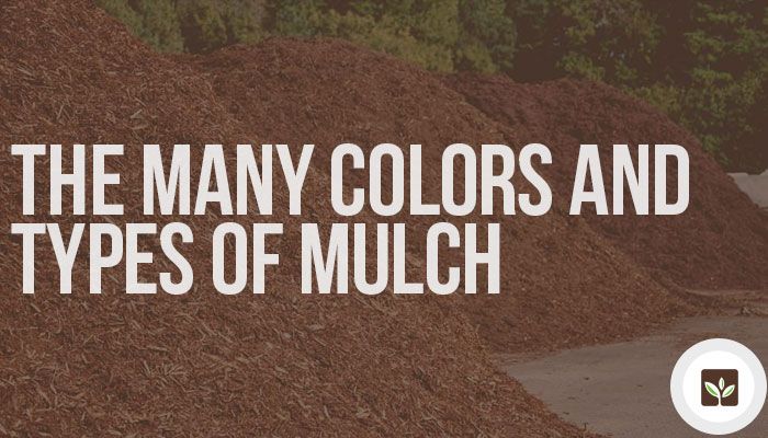 The Many Colors and Types of Mulch