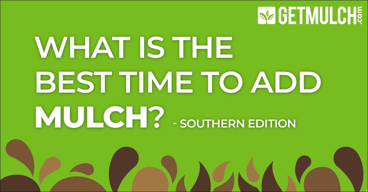 Blog Post Image