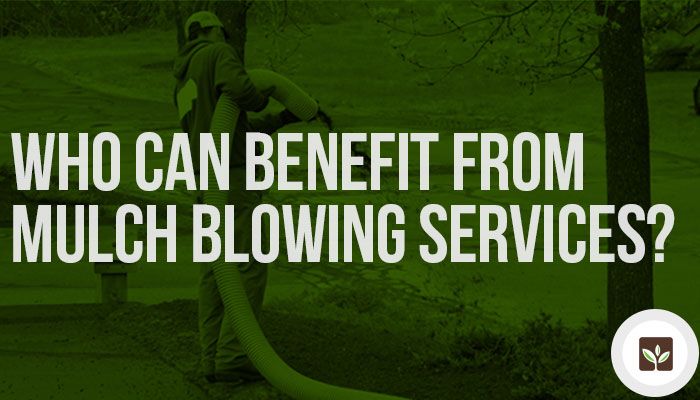 Who Can Benefit from Mulch Blowing Services?