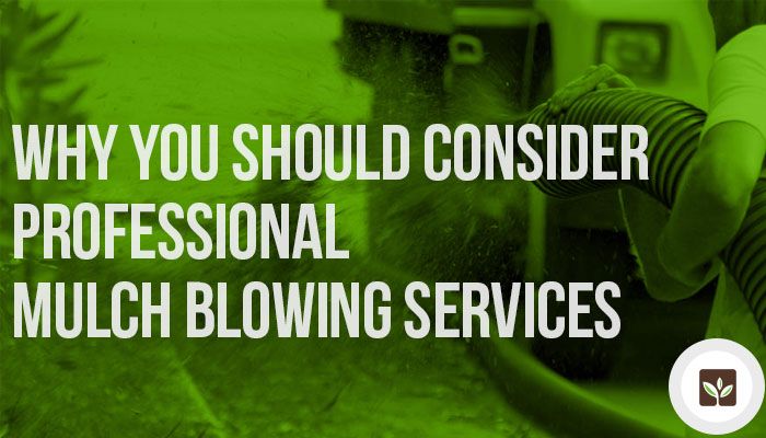 Why You Should Consider Professional Mulch Blowing Services